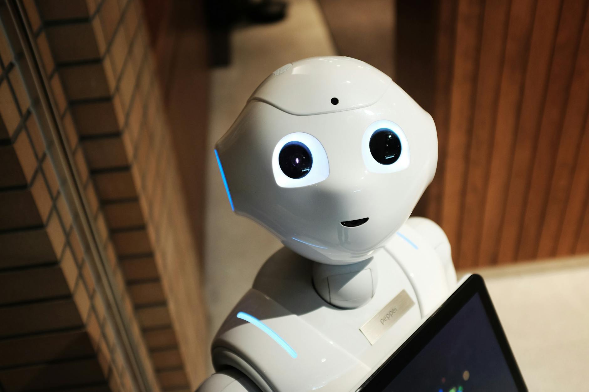 Quel est l’impact de la Data Science pour les PME en 2024 ?