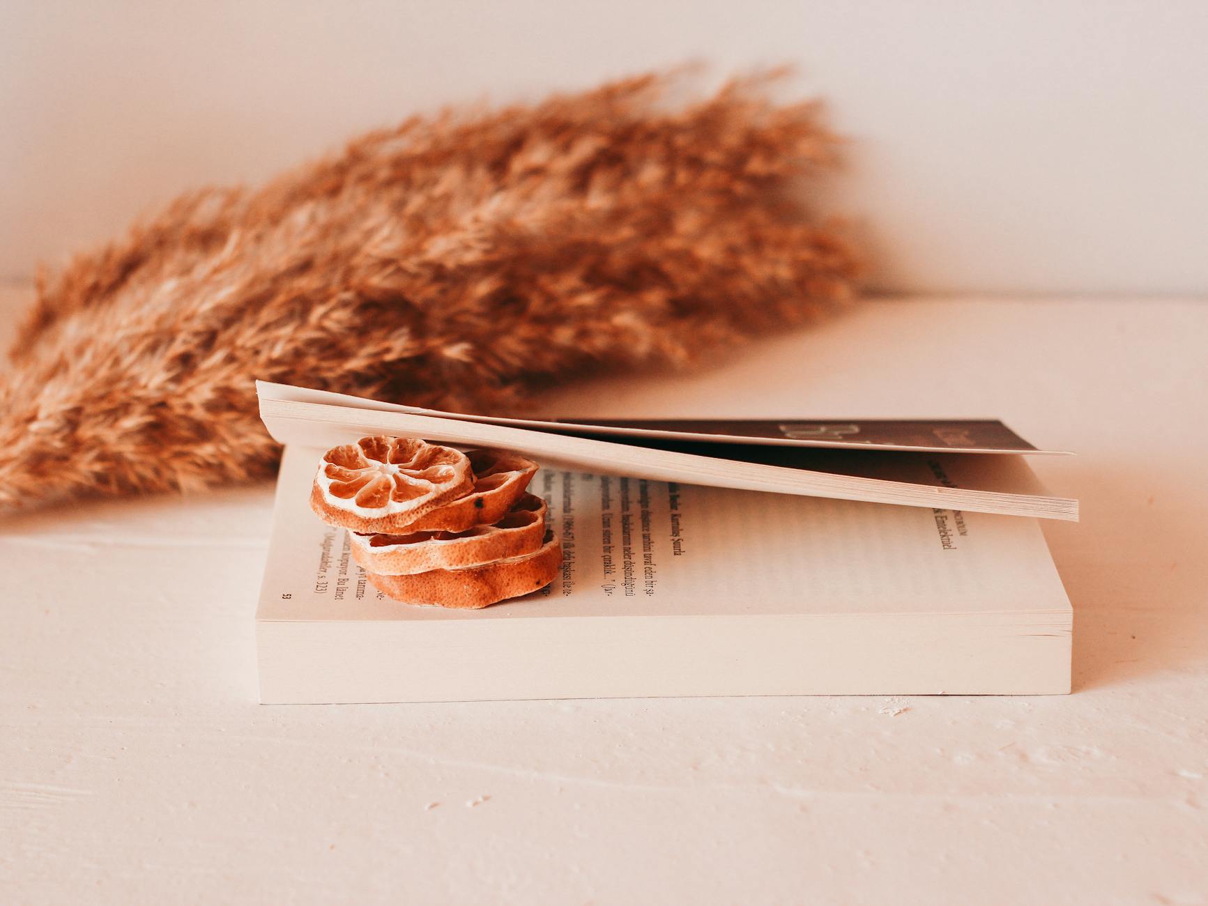 découvrez notre sélection de cadeaux livres originaux, parfaits pour les amateurs de lecture et ceux en quête d'idées uniques. offrez-en un pour toutes les occasions et surprenez vos proches avec des ouvrages inédits qui éveilleront leur curiosité !