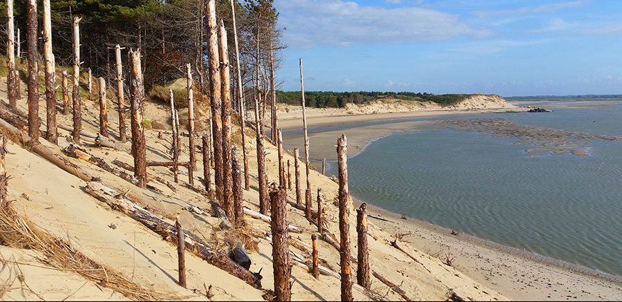 découvrez les impacts du changement marin sur nos écosystèmes et nos sociétés. explorez les conséquences de l'acidification des océans, de la montée des eaux et des perturbations de la biodiversité marine, et engagez-vous pour un avenir durable.