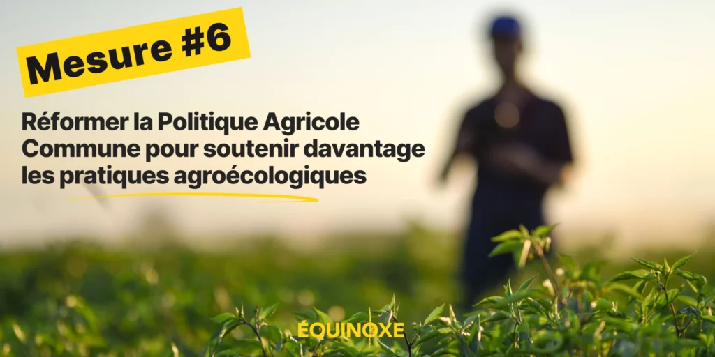 découvrez comment investir dans l'agriculture résiliente peut contribuer à un avenir durable, tout en maximisant vos rendements. apprenez les stratégies clés et les avantages économiques d'une agriculture adaptée aux défis climatiques.