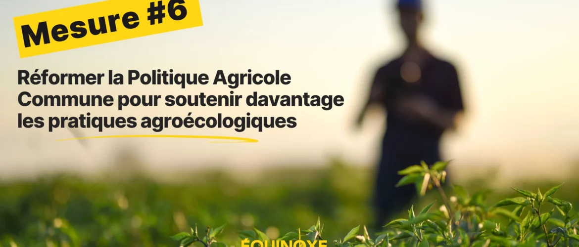 découvrez comment investir dans l'agriculture résiliente peut contribuer à un avenir durable, tout en maximisant vos rendements. apprenez les stratégies clés et les avantages économiques d'une agriculture adaptée aux défis climatiques.