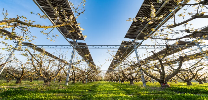 découvrez comment l'investissement dans l'agriculture résiliente peut transformer les pratiques agricoles, protéger l'environnement et garantir la sécurité alimentaire tout en générant des rendements durables pour les futurs agriculteurs.