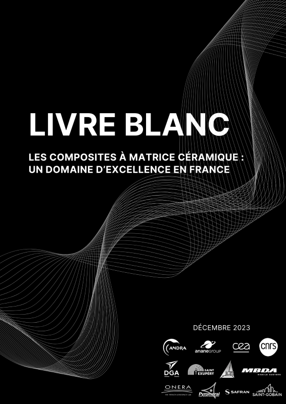 découvrez notre livre blanc sur le mba respa, une ressource précieuse pour comprendre les enjeux et les opportunités offerts par ce programme de formation. plongez dans des analyses approfondies, des témoignages d'anciens étudiants et des conseils pratiques pour maximiser votre parcours académique et professionnel.