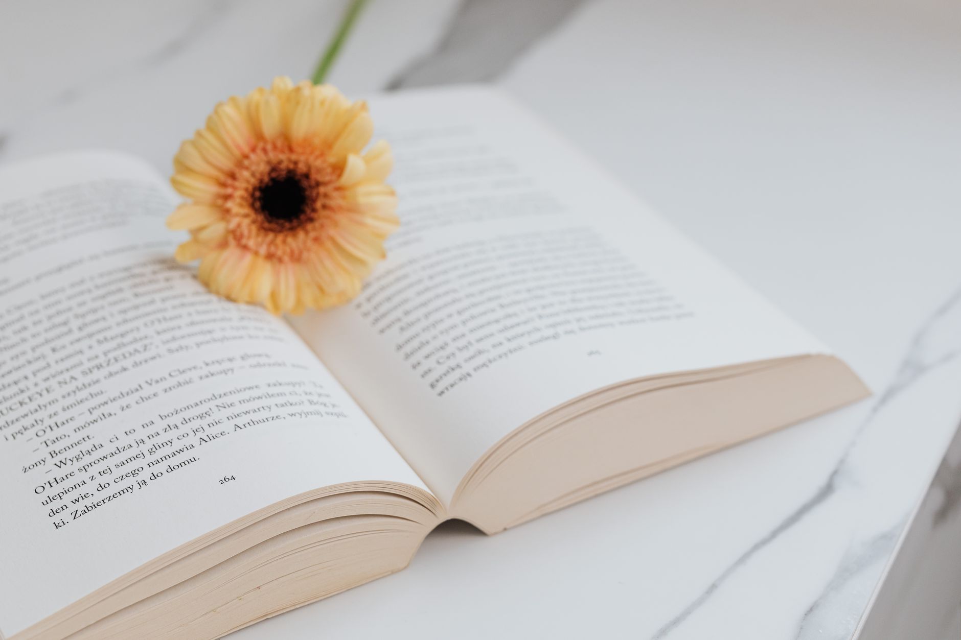 découvrez des avis éclairés sur les derniers livres à lire. que vous soyez passionné de fiction, de non-fiction ou de littérature jeunesse, notre sélection d'analyses et de critiques vous aidera à faire le bon choix pour vos prochaines lectures.
