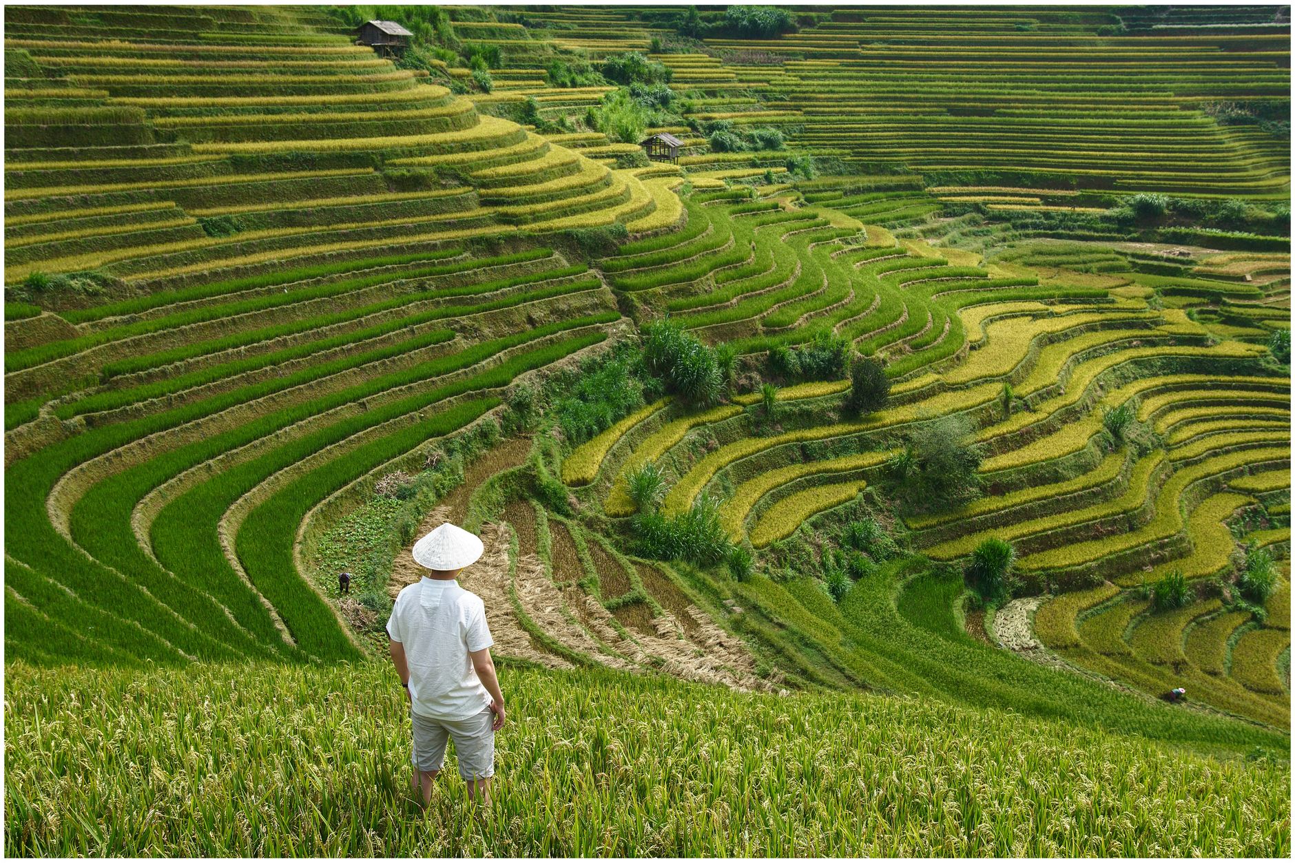 Un rapport explore le développement rural en Chine et ses accomplissements récents