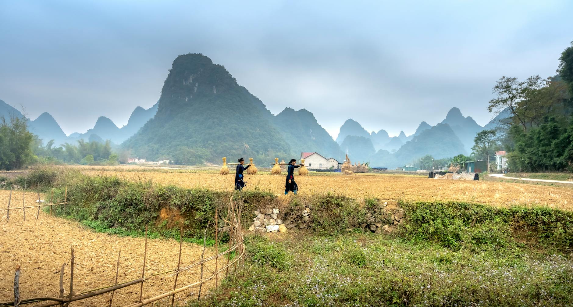 découvrez les enjeux et les progrès du développement rural en chine, un processus crucial pour améliorer la vie des populations rurales, réduire la pauvreté et promouvoir la durabilité. explorez les initiatives gouvernementales, les innovations agricoles et l'impact socio-économique sur les communautés locales.