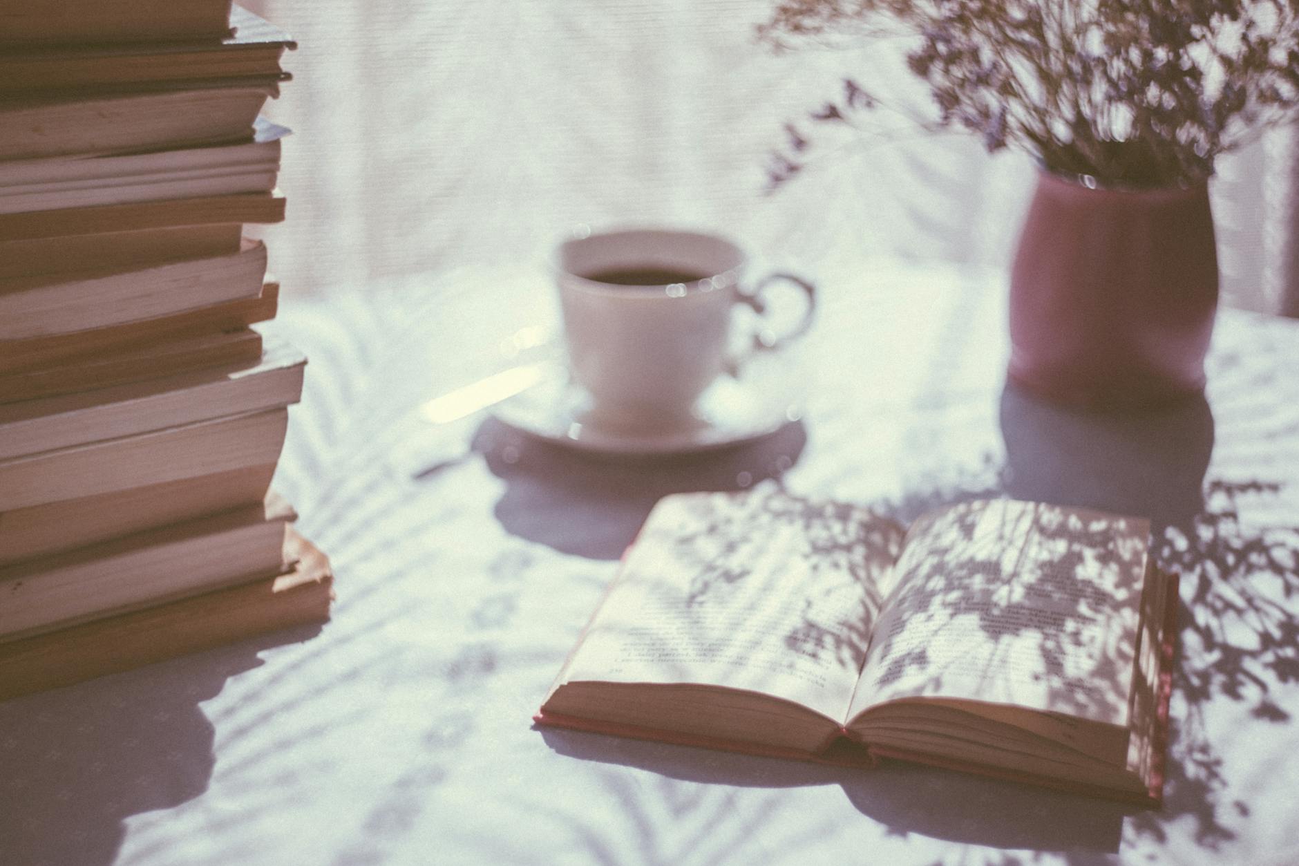 Les e-books incontournables de janvier 2025