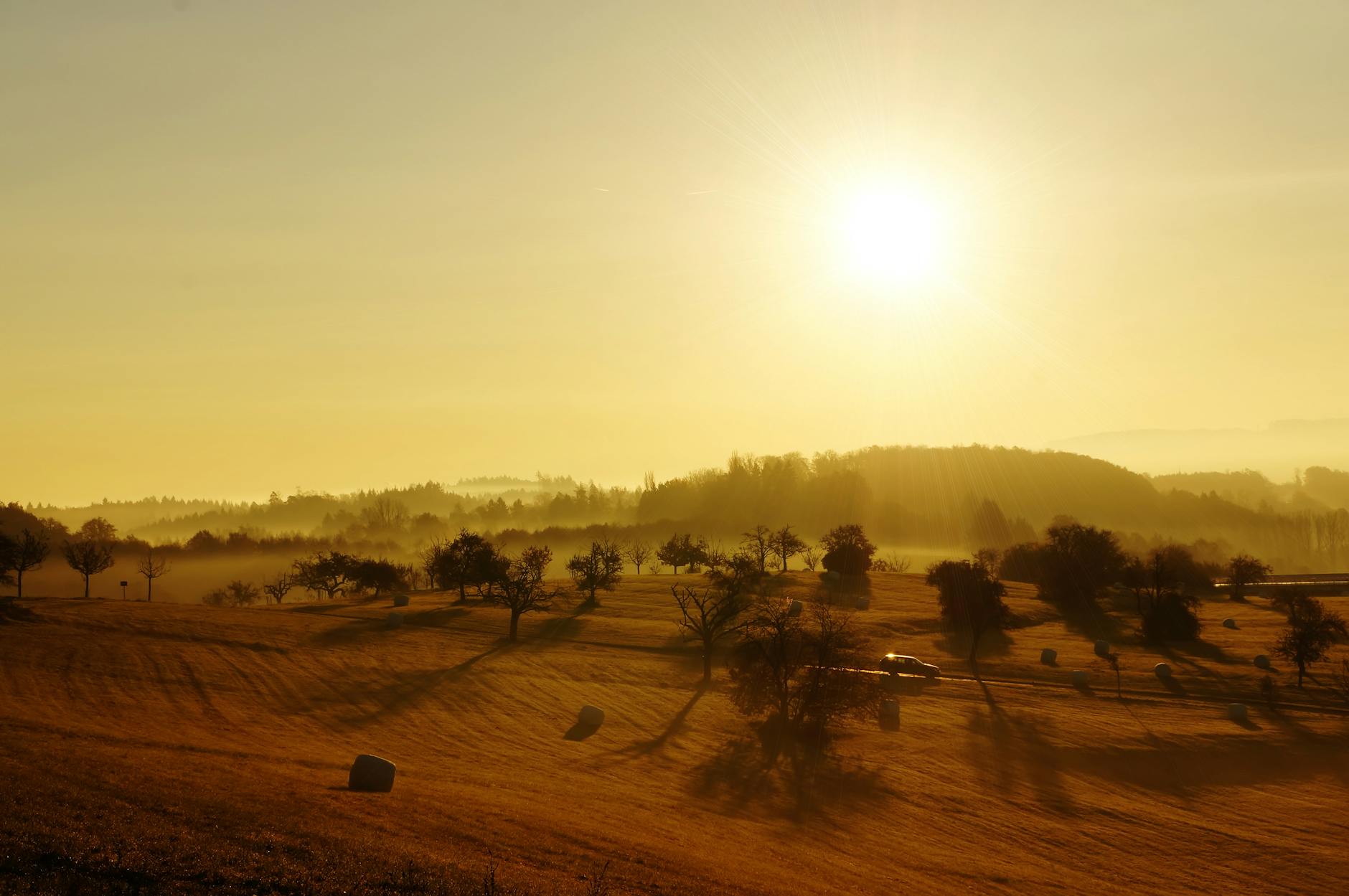 Le lever du soleil sur la moisson : 1,5 million d’exemplaires vendus en une semaine