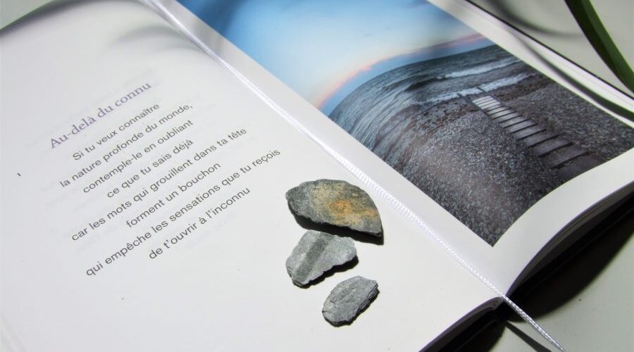 découvrez le papier révolutionnaire, une innovation qui transforme nos méthodes d'écriture et de communication. écologique, durable et performant, ce papier repense notre rapport à l'écriture en alliant technologie moderne et respect de l'environnement.