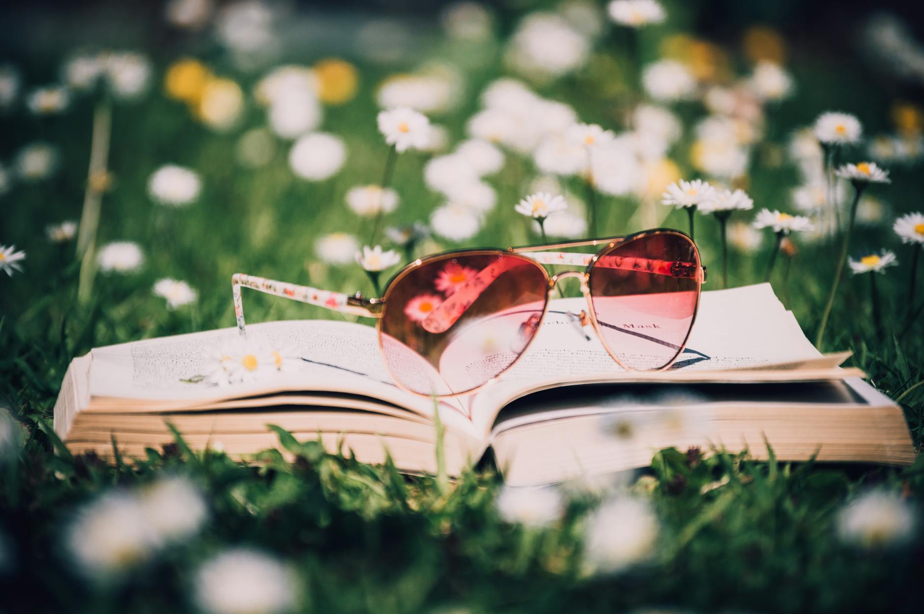 les 10 meilleures lectures à découvrir en juin 2025