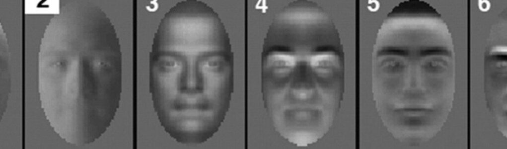 découvrez comment l'authentification faciale transforme l'expérience des spectateurs dans les stades en offrant une sécurité renforcée et un accès simplifié aux événements sportifs.